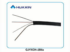 皮線光(guāng)纜