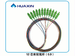 12芯束狀尾纖（0.9）